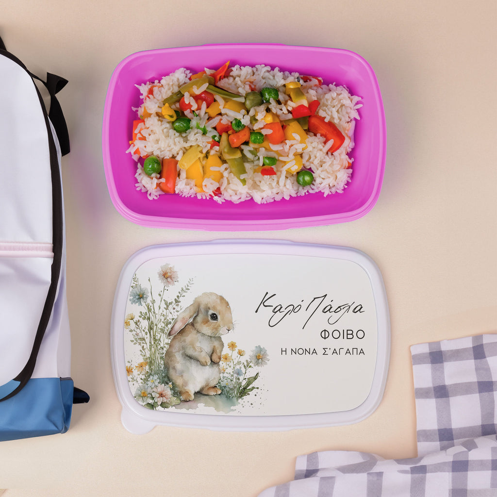 Vintage Bunny - Plastic Lunch Box