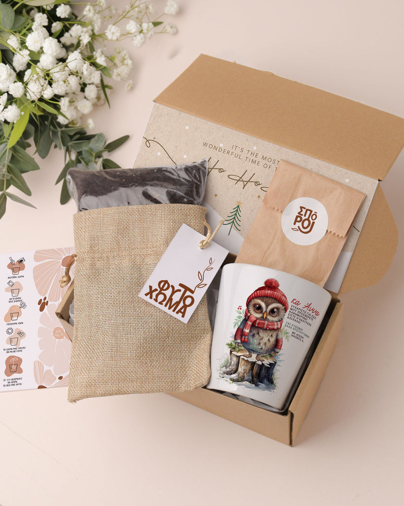 Christmas Owl - Flower Pot Gift Set - GOTShirts