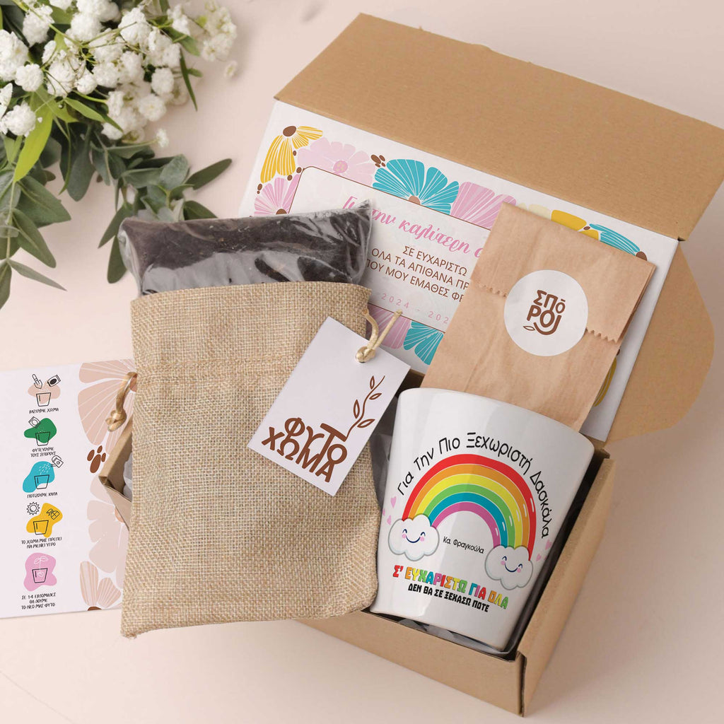 A Special Teacher - Flower Pot Gift Box - GOTShirts