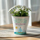 Sticky Image