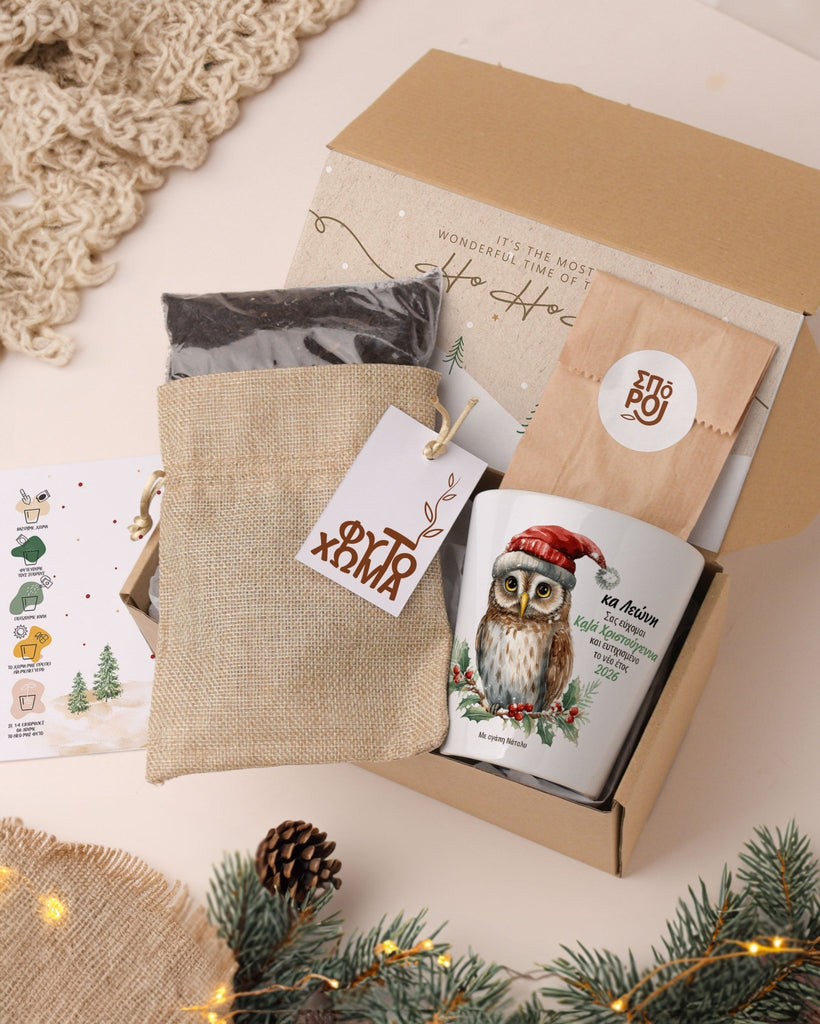 Christmas Owl Teacher - Flower Pot - GOTShirts