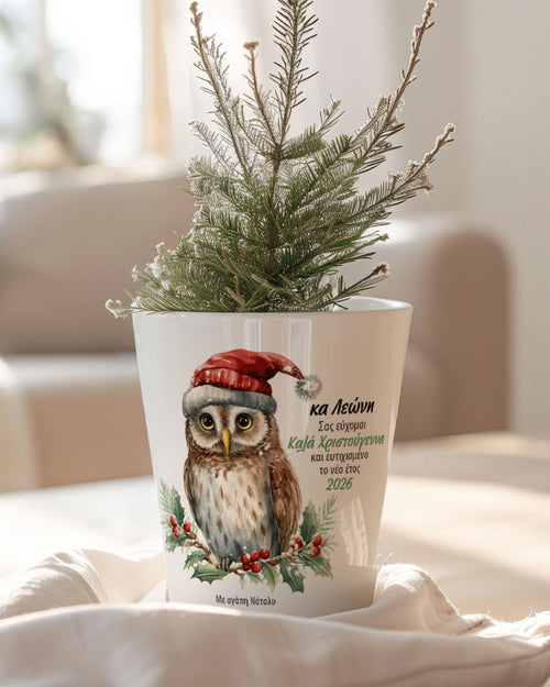Christmas Owl Teacher - Flower Pot - GOTShirts