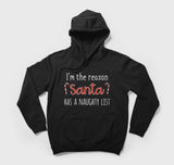 Reason Santa Has A Naughty List - Hoodie - GOTShirts
