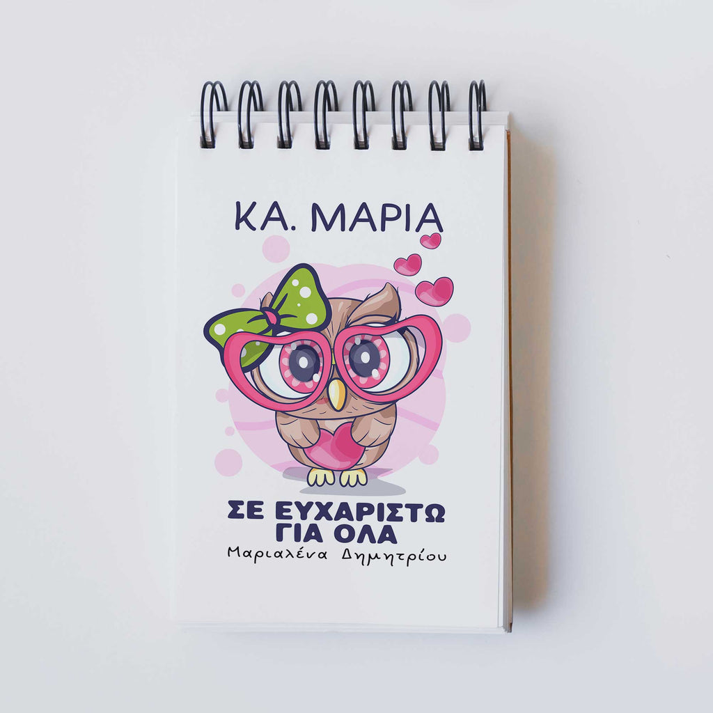 Owl Teacher - Notebook A6