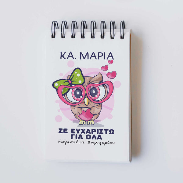 Owl Teacher - Notebook A6 - GOTShirts